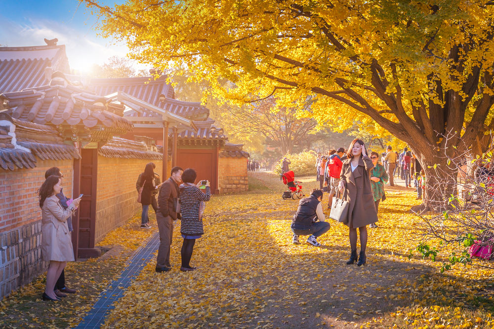 TOUR HÀN QUỐC 5N4Đ MÙA THU: HÀ NỘI - SEOUL - NAMI - EVERLAND - HÁI TÁO - ĐI PHÀ CHO HẢI ÂU ĂN BAY OZ 5* (BAY TRƯA VỀ TỐI)